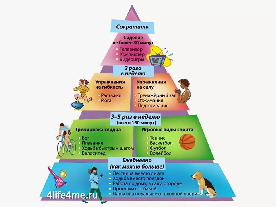 Активности необходимо. Пирамида двигательной активности. Пирамида двигательной активности человека. Пирамида здорового образа жизни. Пирамида двигательной активности для детей.